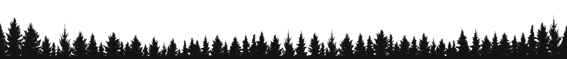 Nadelwald-Silhouette mit Palme in der Mitte